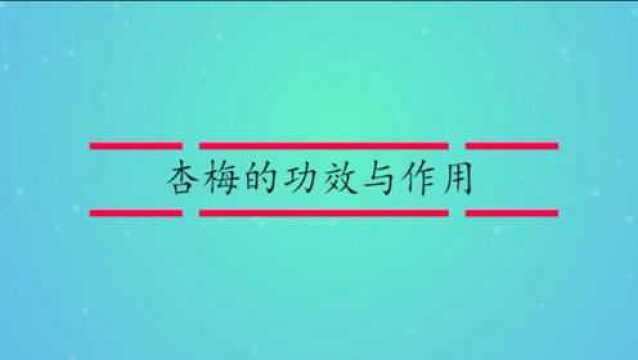 杏梅的功效与作用