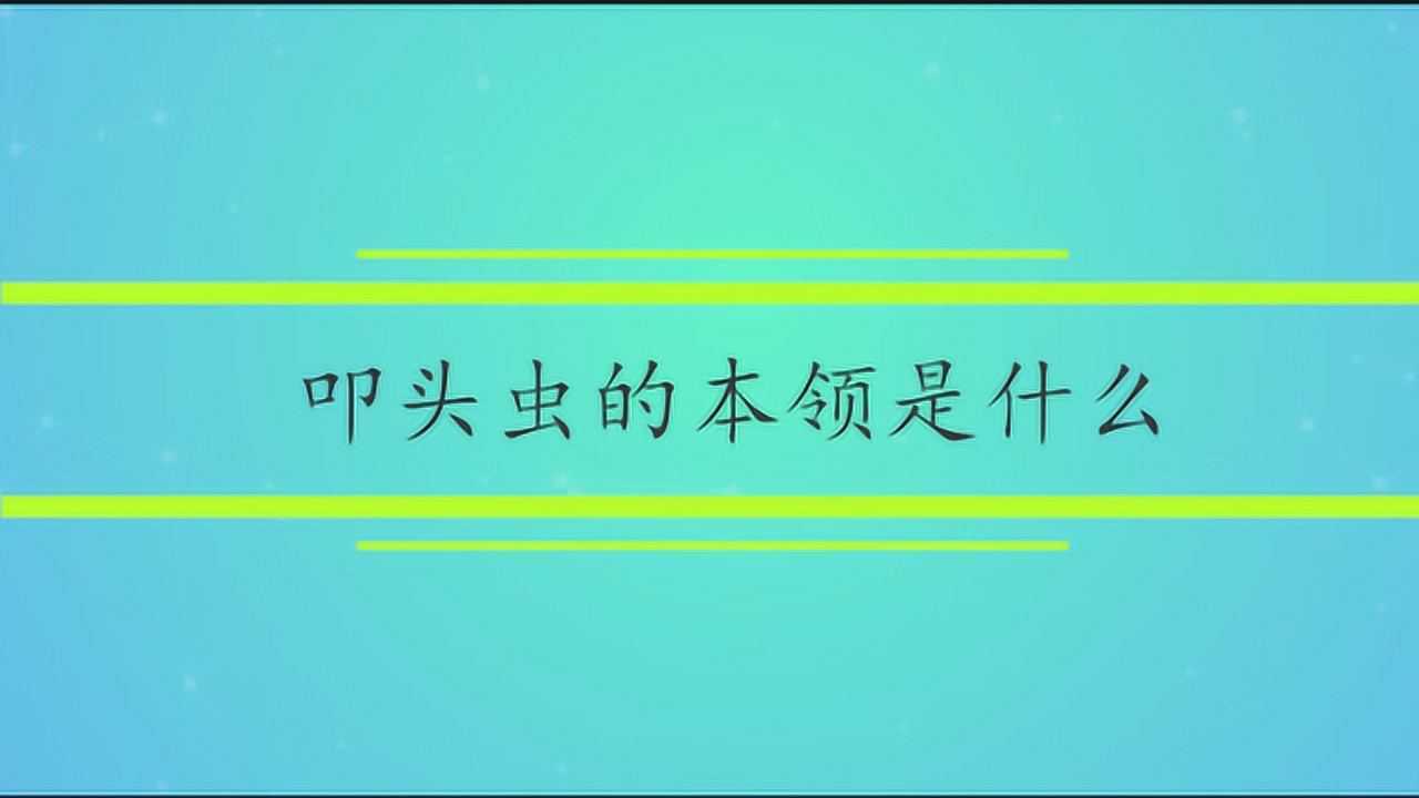 叩头虫的本领是什么