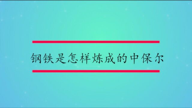 钢铁是怎样炼成的中保尔