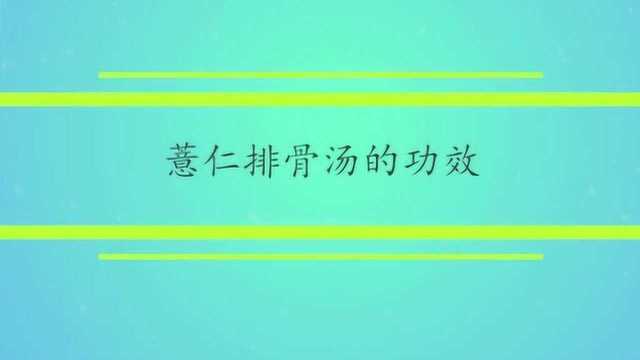 薏仁排骨汤的功效