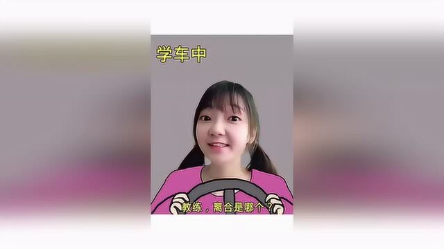 考驾照到底有多难 你是属于哪一型的驾照“困难户”