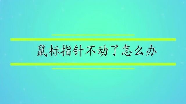 鼠标指针不动了怎么办