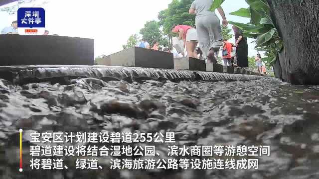 融合“海绵城市”理念,深圳宝安这个湿地公园成碧道建设重要节点