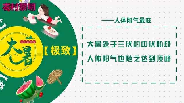 大暑你知道多少?四分钟带你走进二十四节气的大暑!