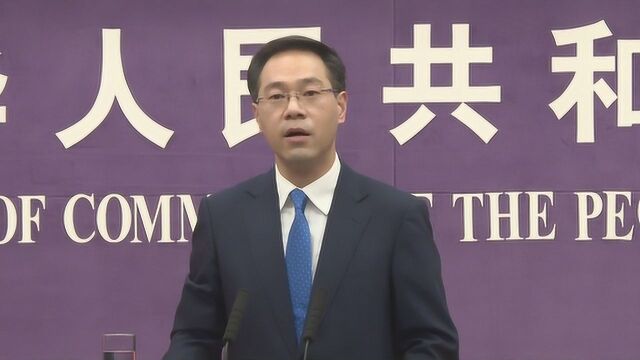 新一轮中美经贸磋商地点为何定在上海?商务部回应