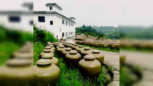 富顺建行暑期大学生社会实践,金智惠民,乡村振兴,我们在路上!