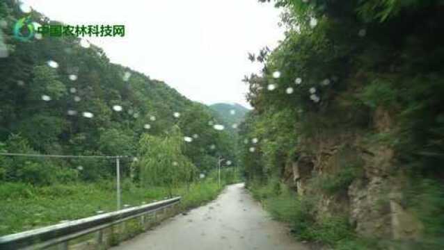 全程媲美蓝关古道的崎岖艰险,冒雨翻越十三公里商葛路到葛牌古镇