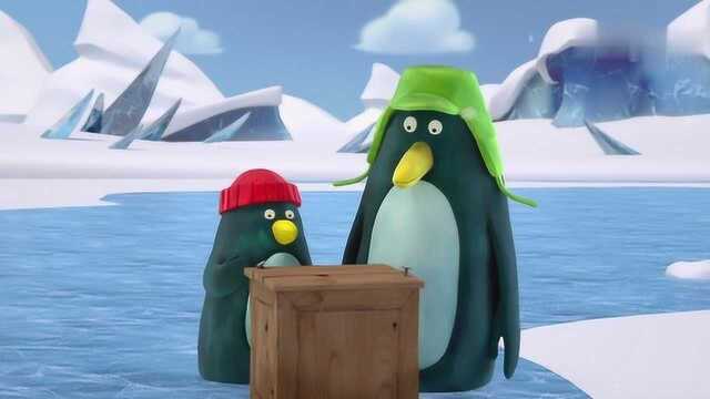 企鹅憨兄弟:从天而降一个礼物,竟是企鹅哥哥最爱的足球