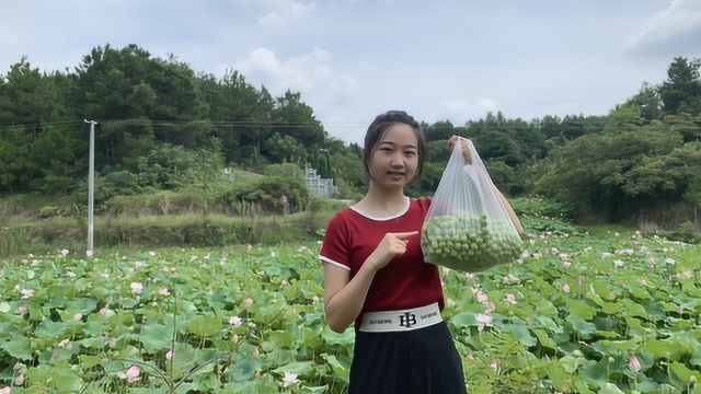 农村新鲜莲子不值钱,阿爽盘算着拉到城里去卖,能赚到钱吗?