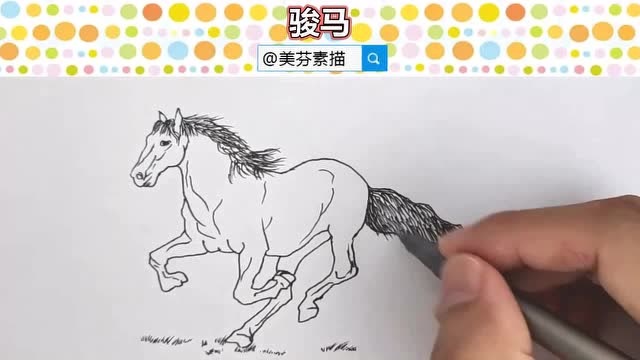 简单又好看的动物速写入门教程奔跑的骏马儿速写手绘画法步骤