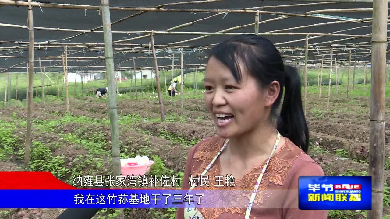 20190824毕节新闻(腾讯)高清1080P在线观看平台腾讯视频