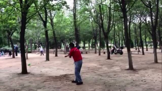 陕西宝鸡陈仓区空竹队寸师傅空竹花样展示