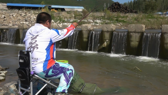 乡村小桥,一米五短竿七星漂,溪钓冷水柳根鱼、溪哥鱼!