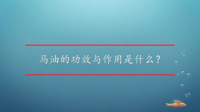 马油的功效与作用是什么?