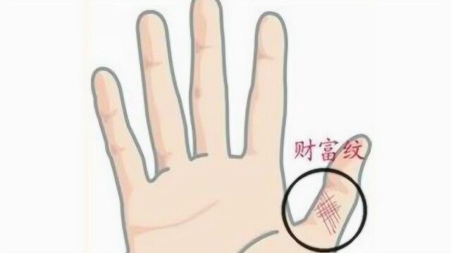 世界上少有的3大“富贵纹”!有的都是大人物,你身边的人有吗?