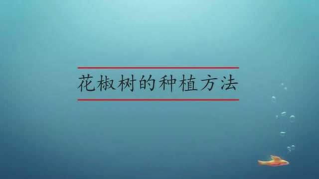 花椒树应该怎么种植?