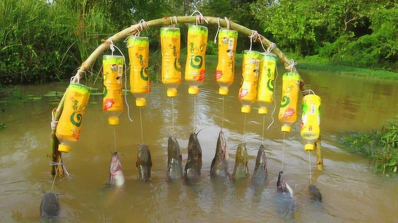 小伙手艺好牛用塑料瓶自制捕鱼神器抓到10条大鱼