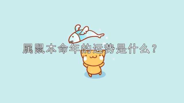 属鼠本命年的运势是什么?