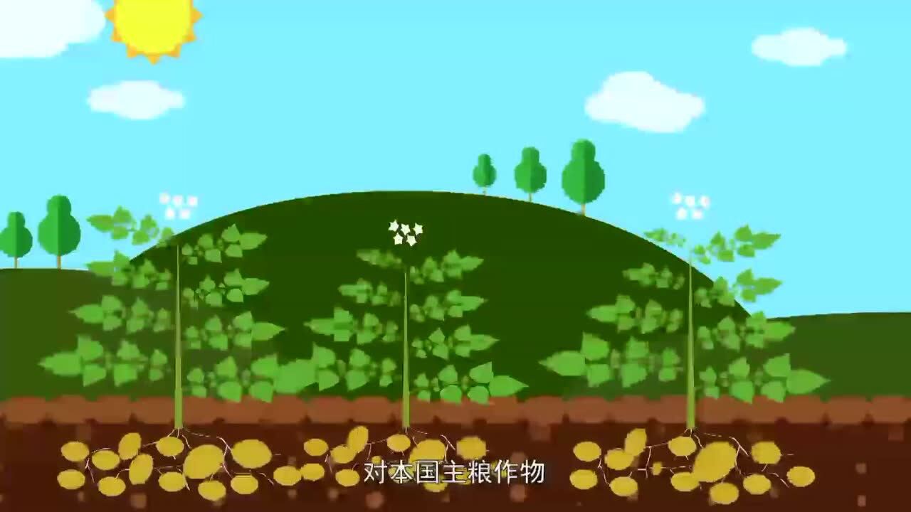 植物保护宣传片_高清