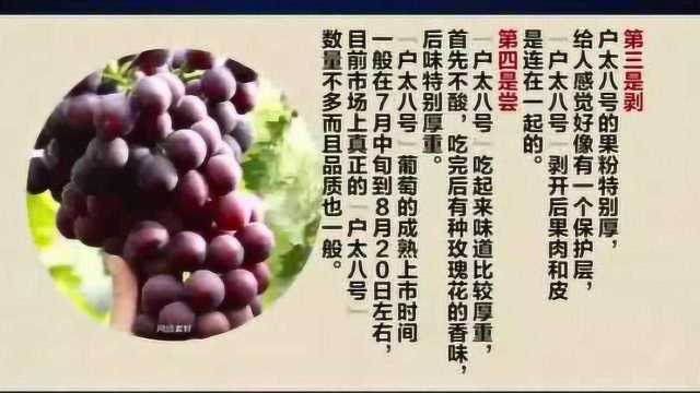 美食ⷮŠ户太八号:西安鄠邑区特有的品种户太八号