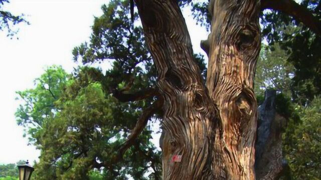 “西南十大禅林之一”的重庆华岩寺观音院建好了