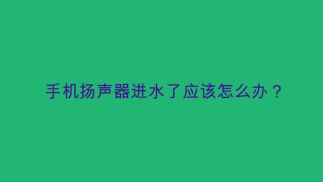 手机扬声器进水了应该怎么办?