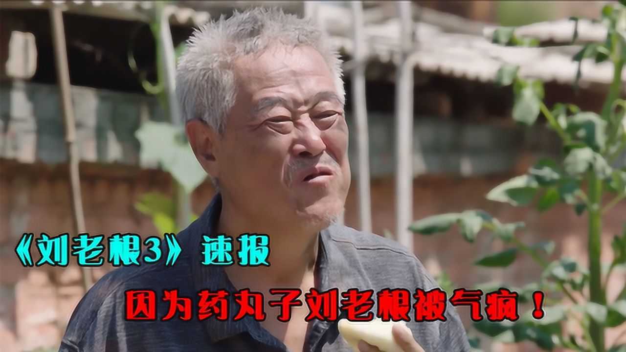 刘老根3速报大胖大喊药丸子是刘老根的私生子刘老根气疯