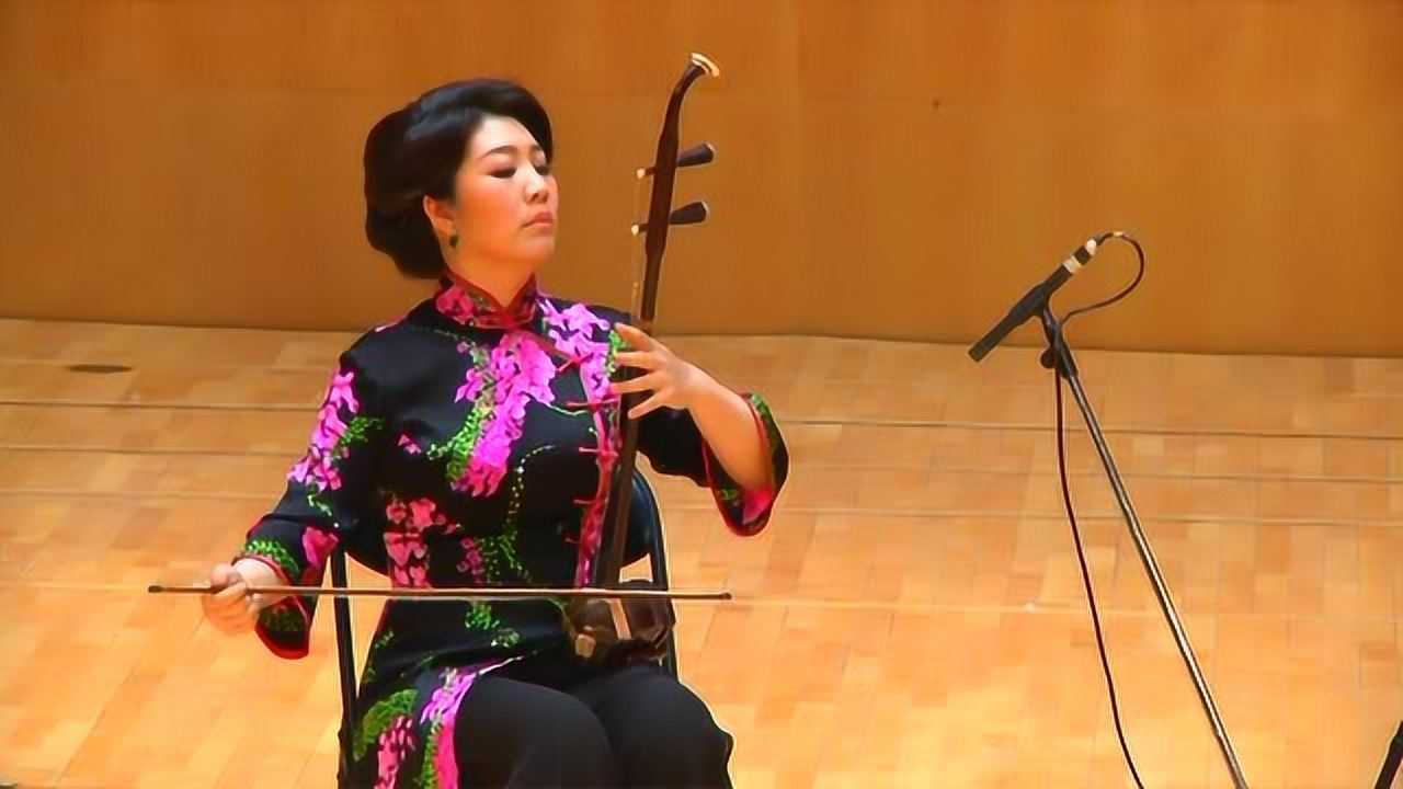 二胡演奏《豫乡行》演奏:宋飞