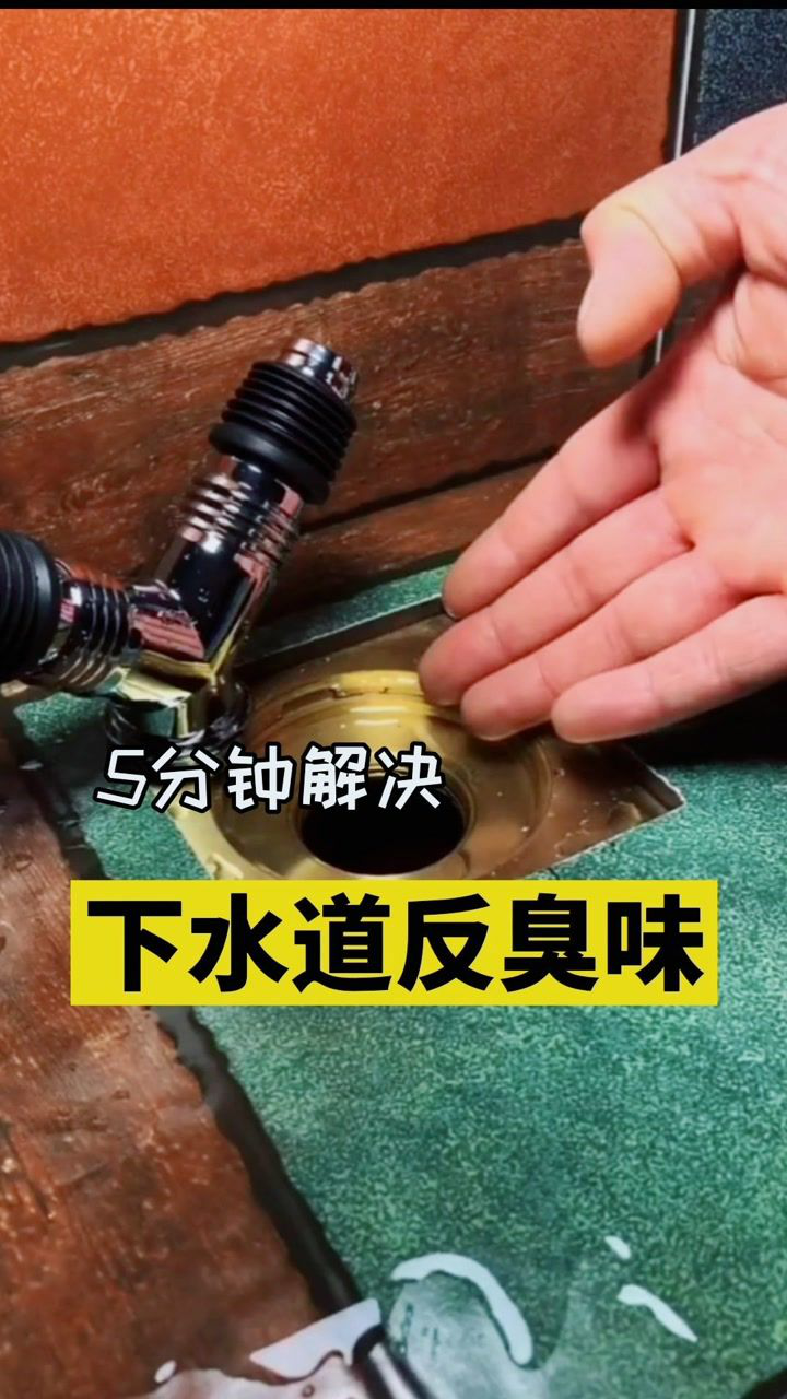 5分钟解决下水道反臭味你get到了吗