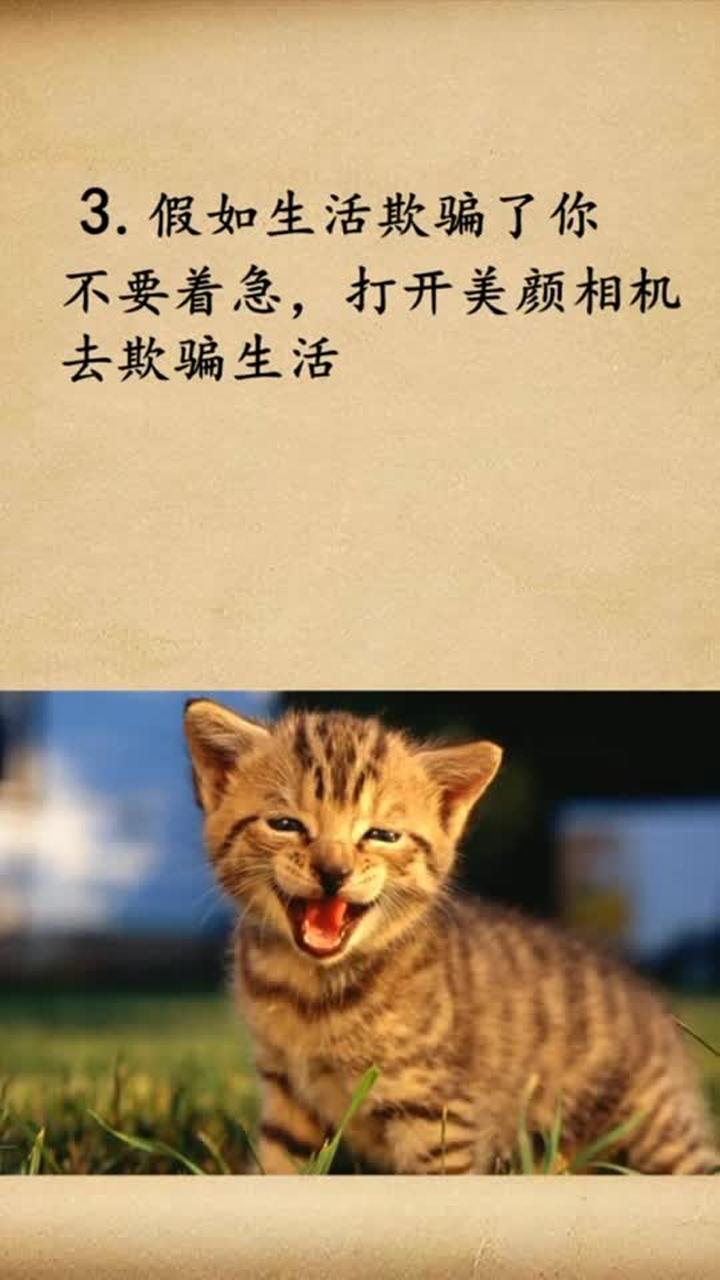 适合发朋友圈的搞笑段子,让你天天有人关注