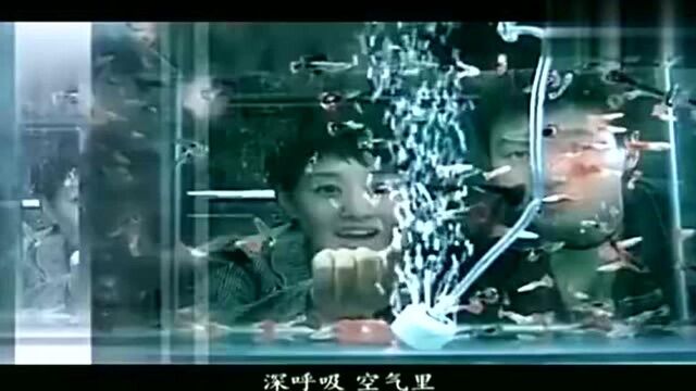 奋斗:文章,佟大为,马伊琍,李小璐,王珞丹,朱雨辰,联合主演