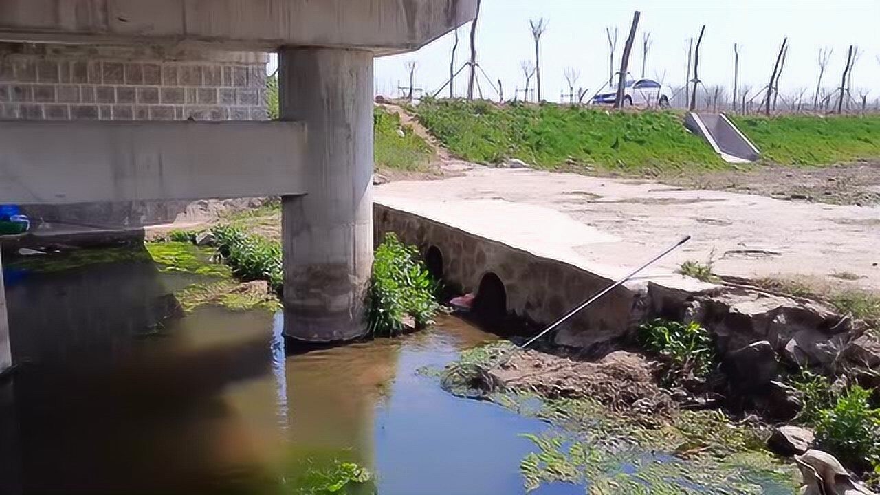 桥底下的鲫鱼不大但是很多,这种钓点值得一玩吗