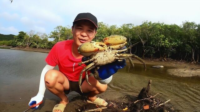 小诗哥赶海撞大运,红树林里遍地青蟹洞,抓得真过瘾