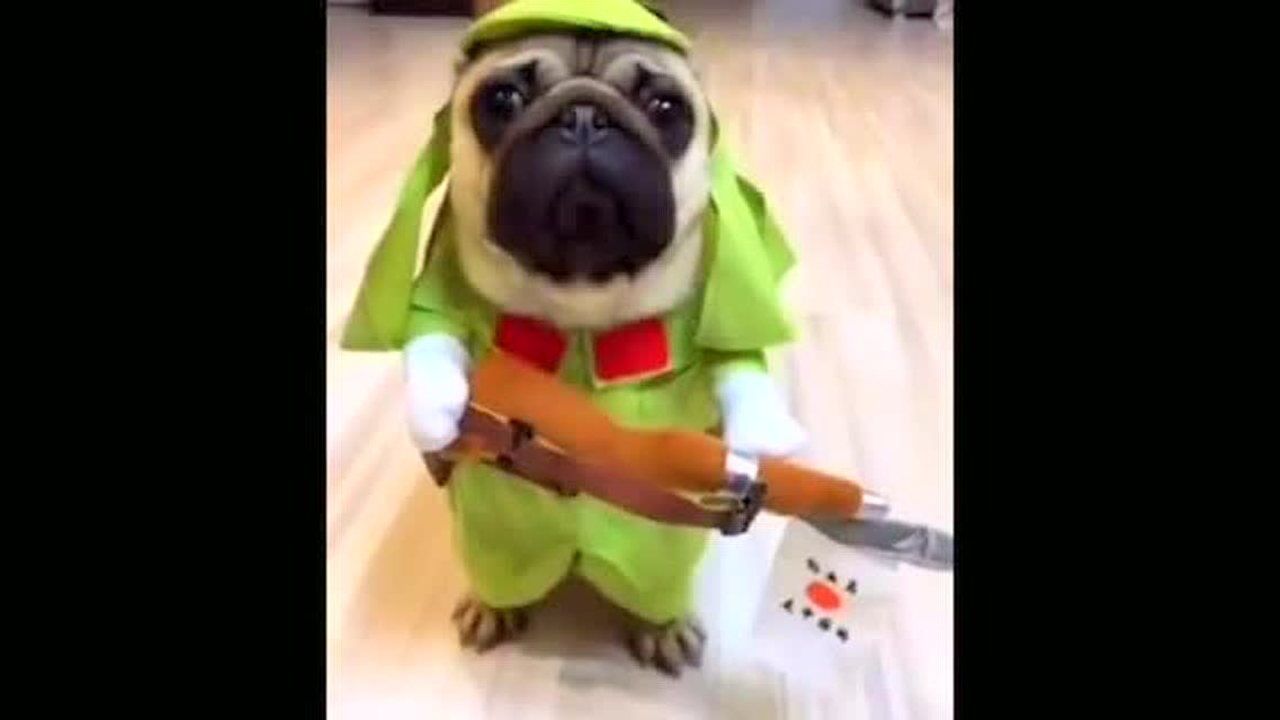 八嘎牙路看什么看都给我好好地干活不准偷懒