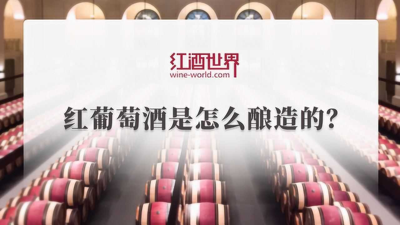 红葡萄酒是怎么酿造的？_高清