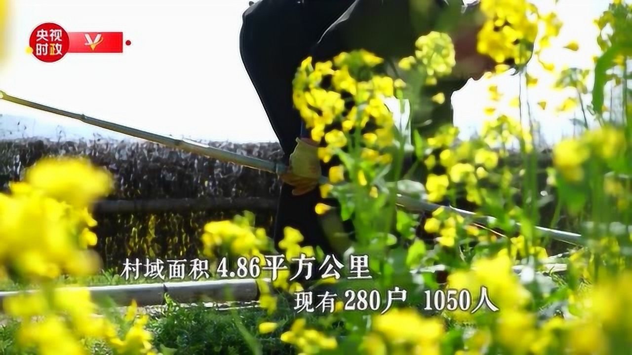 走进浙江安吉县余村_高清