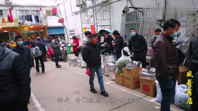 疫情当下茶叶交易市场,黄山毛峰价格几何网友宁打工不做农民