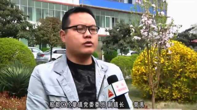 殷都区伦掌镇:打造主导产业 助力脱贫攻坚