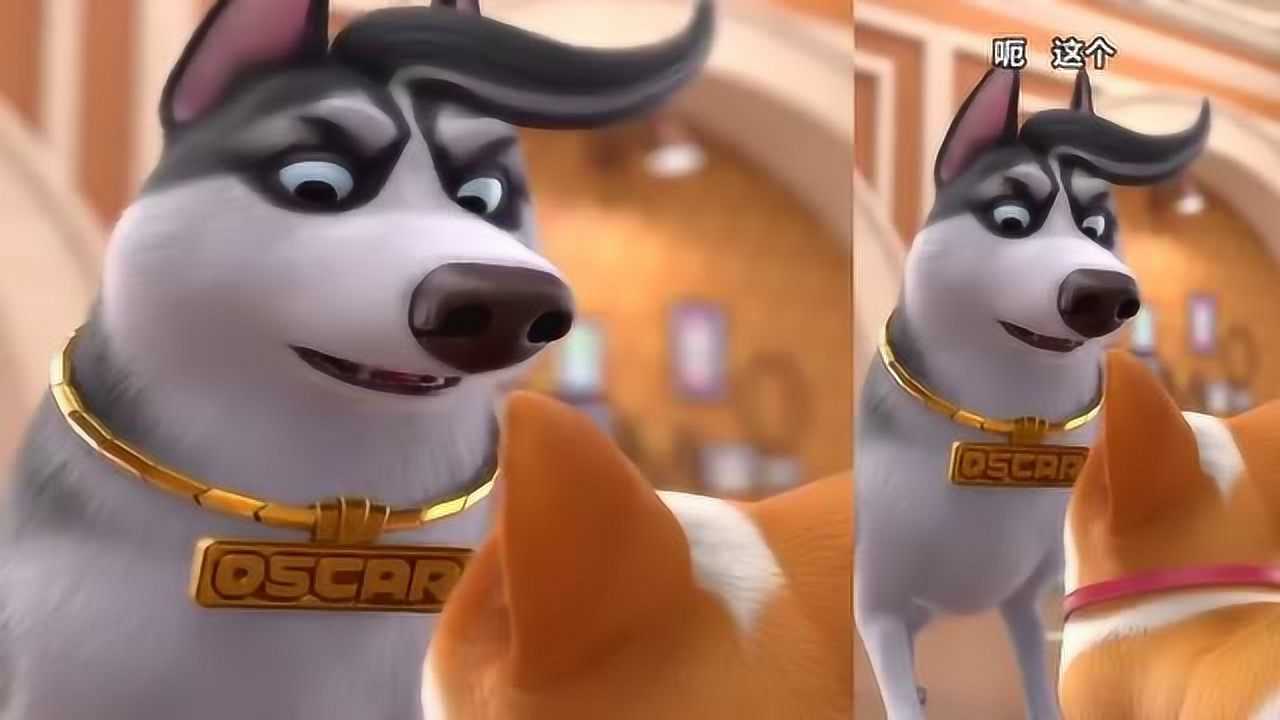 飞狗moco知道巴顿为什么这么能吃了吃货本质暴露无遗