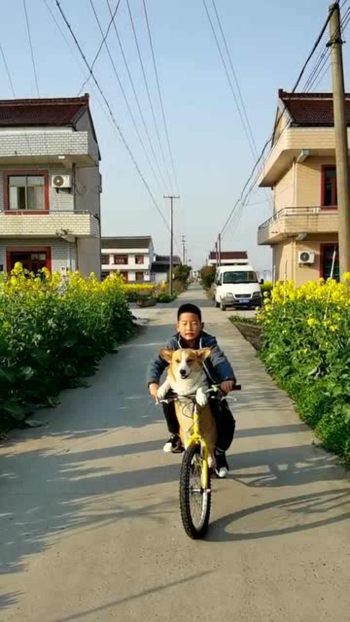 熊孩子每天骑自行车拉着狗狗真是太有爱了