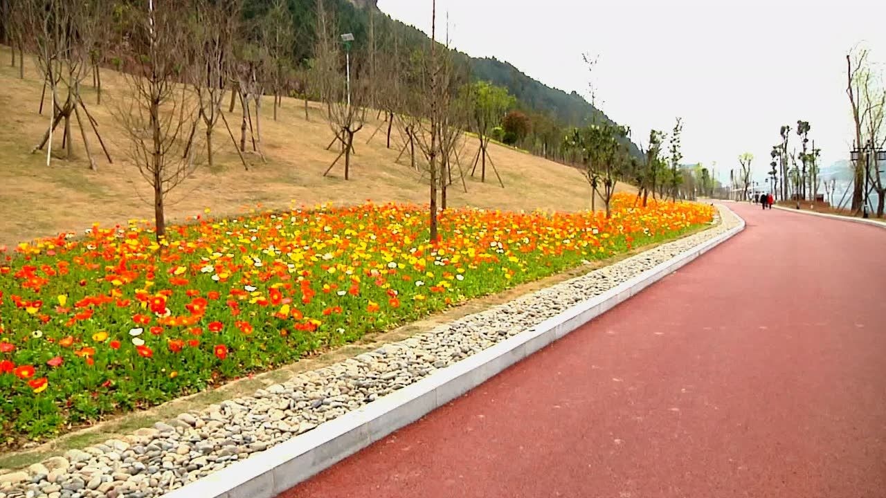 20200408湿地公园花