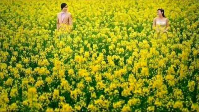 《油菜花》演唱龙飞蒋ying