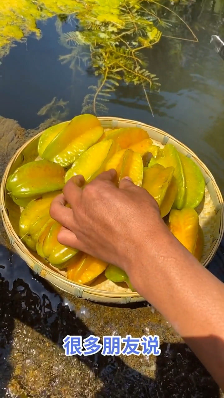 吃到香甜可口的香蜜杨桃的诀窍