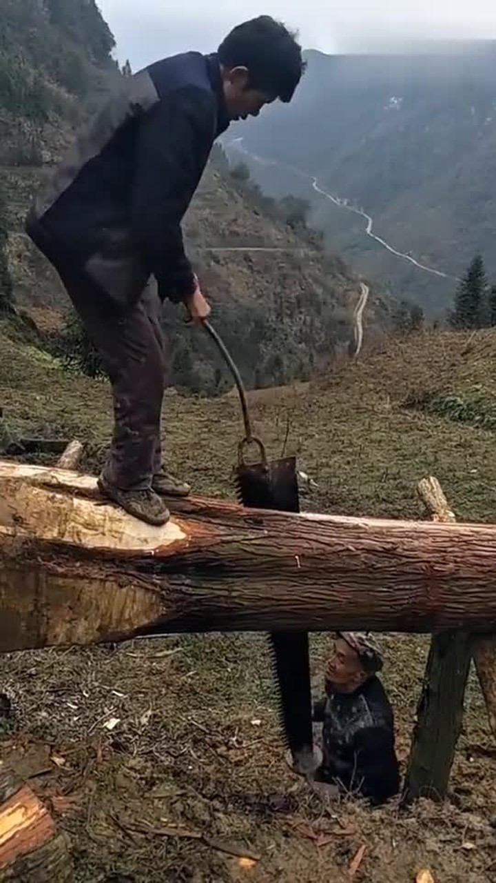 现在还有这绝活这就是传说中的拉大锯扯大锯