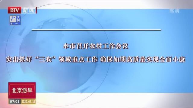 抓好“三农”领域重点工作 确保如期高质量实现全面小康