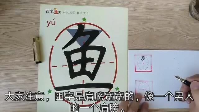 汉字“鱼”的规范书写,写好汉字,要注意整体字形的平衡度