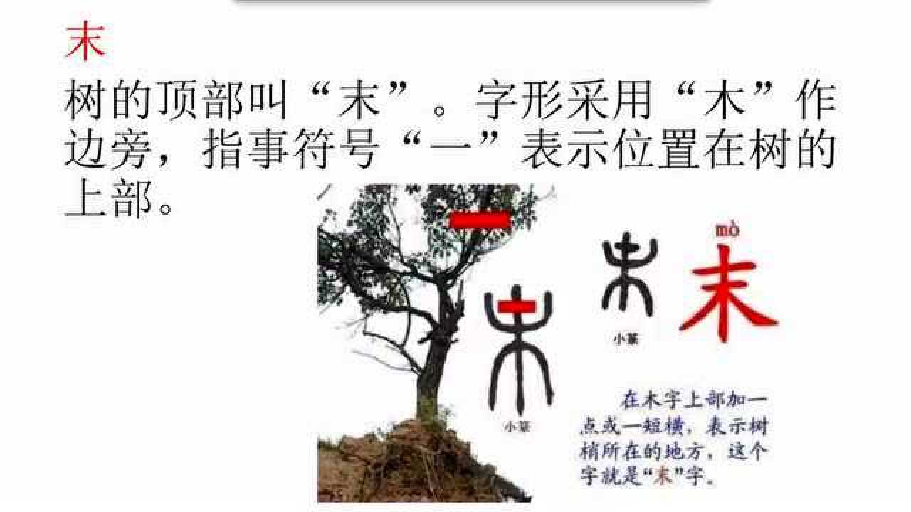 指事字第二课时