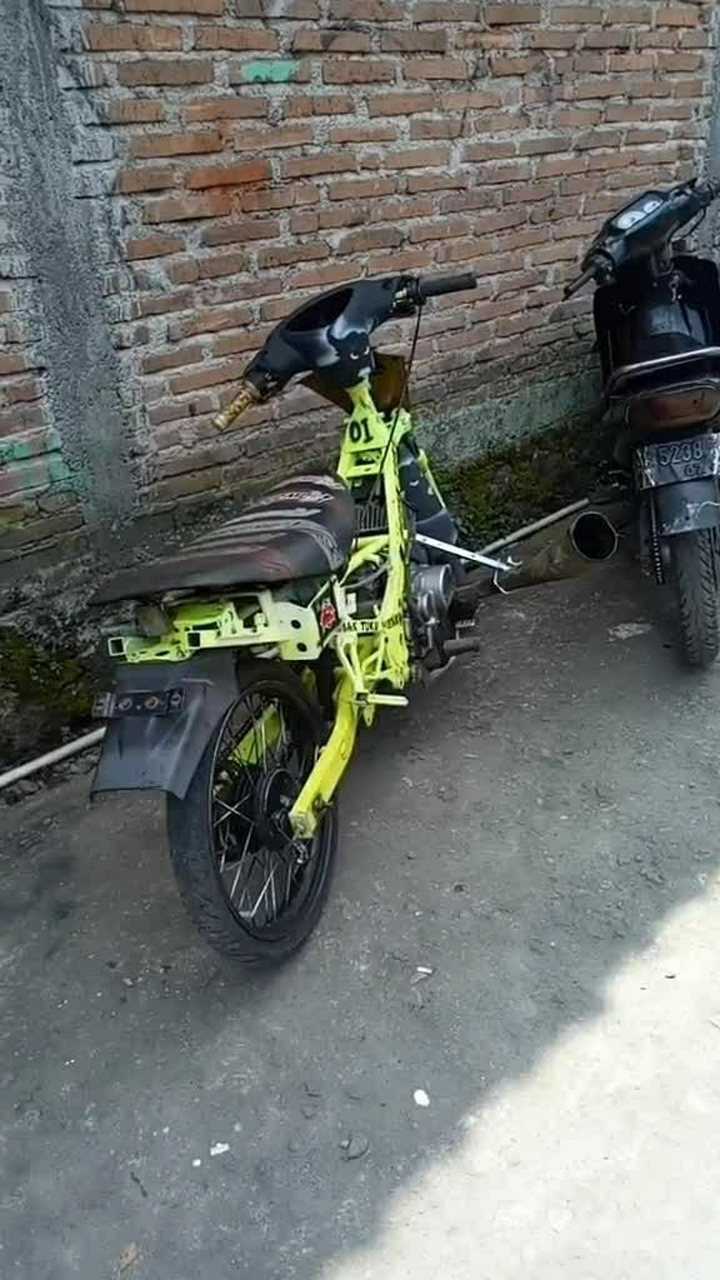 原来国外也有精神小伙啊这应该就是他们的坐骑