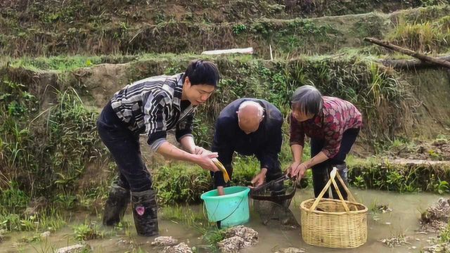 你知道鱼是怎么繁殖的吗?农村大爷传统方法繁殖鱼苗,长见识了