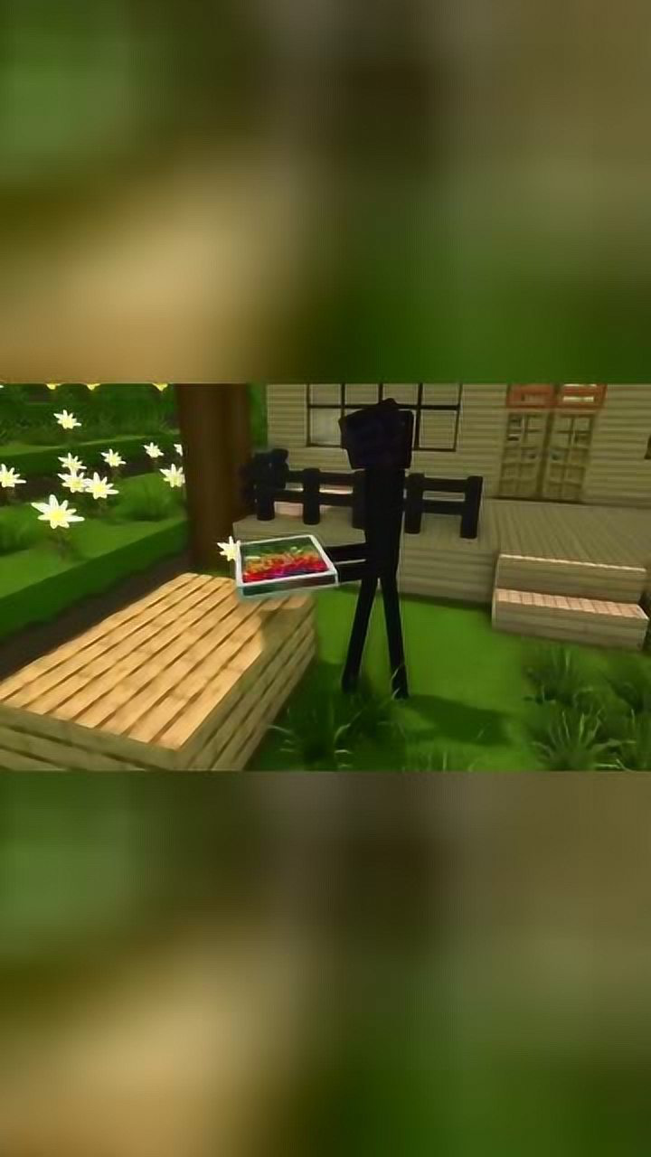 mc动画末影人的生活末影人与末影女孩生活平静幸福